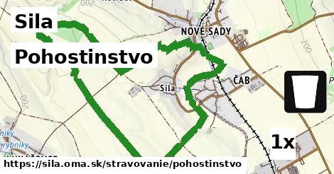 Pohostinstvo, Sila