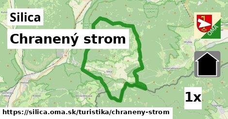 Chranený strom, Silica