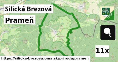 Prameň, Silická Brezová