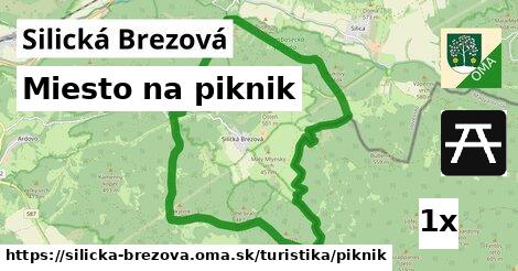 Miesto na piknik, Silická Brezová