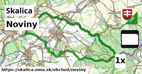 Noviny, Skalica