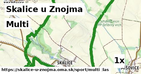 Multi, Skalice u Znojma