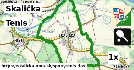 Tenis, Skalička