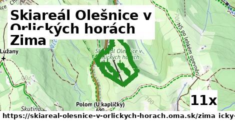 zima v Skiareál Olešnice v Orlických horách