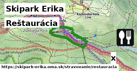 Reštaurácia, Skipark Erika