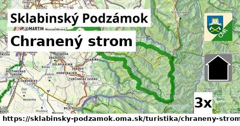 Chranený strom, Sklabinský Podzámok