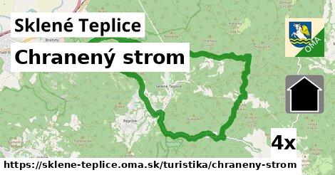 Chranený strom, Sklené Teplice