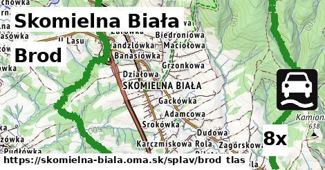 brod v Skomielna Biała