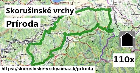 príroda v Skorušinské vrchy