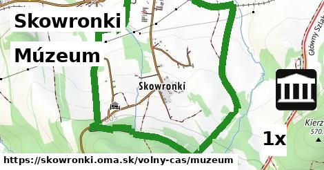 Múzeum, Skowronki