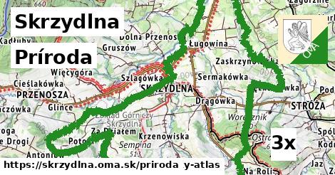 príroda v Skrzydlna