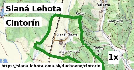 Cintorín, Slaná Lehota