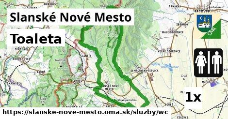 Toaleta, Slanské Nové Mesto