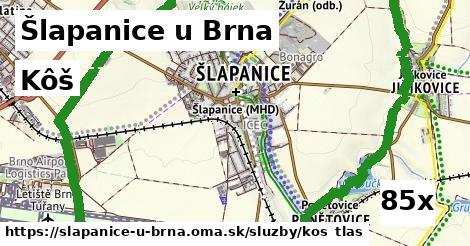 Kôš, Šlapanice u Brna