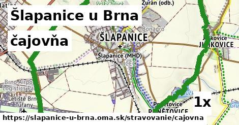 čajovňa, Šlapanice u Brna