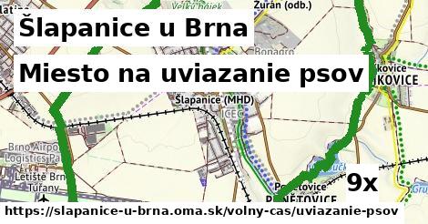 Miesto na uviazanie psov, Šlapanice u Brna