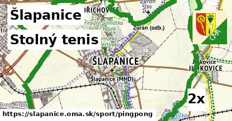 stolný tenis v Šlapanice