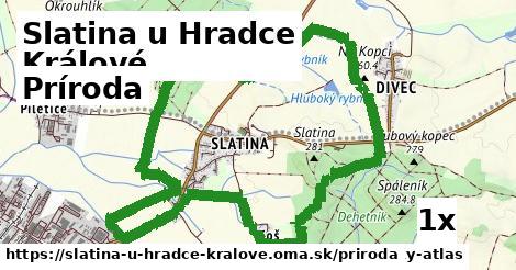 príroda v Slatina u Hradce Králové