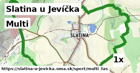 Multi, Slatina u Jevíčka