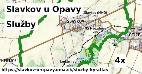 služby v Slavkov u Opavy