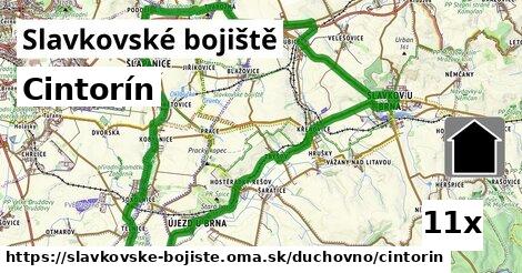 Cintorín, Slavkovské bojiště
