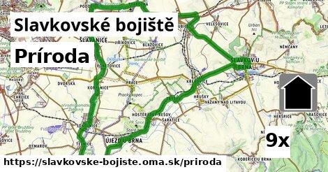 príroda v Slavkovské bojiště