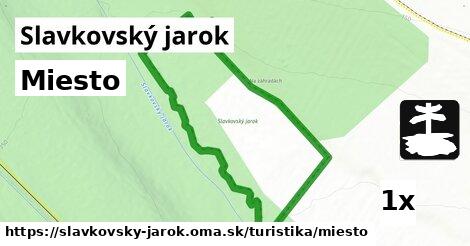 Miesto, Slavkovský jarok