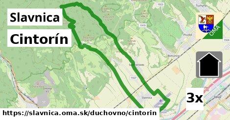 Cintorín, Slavnica