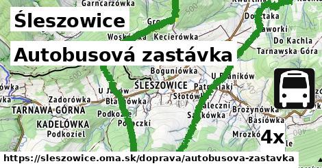 autobusová zastávka v Śleszowice