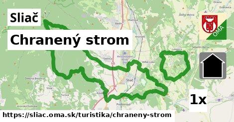 Chranený strom, Sliač