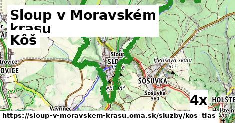 kôš v Sloup v Moravském krasu