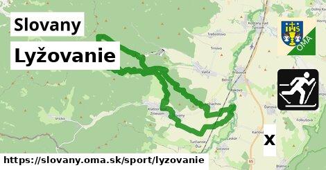 Lyžovanie, Slovany