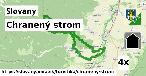 Chranený strom, Slovany