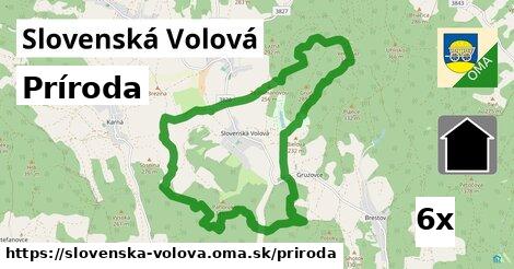 príroda v Slovenská Volová