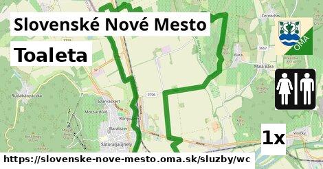 Toaleta, Slovenské Nové Mesto