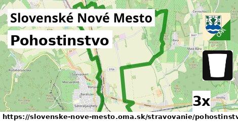 Pohostinstvo, Slovenské Nové Mesto