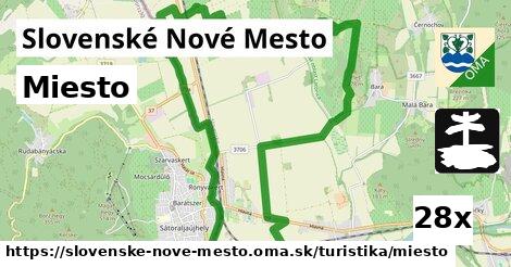 Miesto, Slovenské Nové Mesto