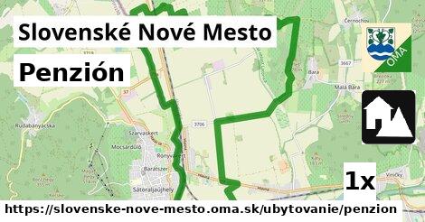 Penzión, Slovenské Nové Mesto