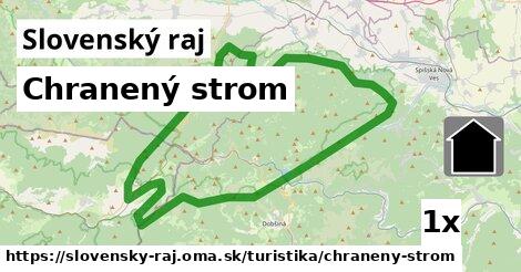 Chranený strom, Slovenský raj