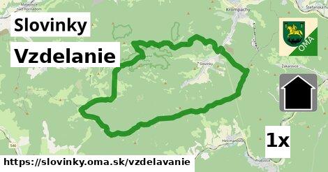 vzdelanie v Slovinky