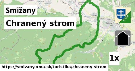 Chranený strom, Smižany