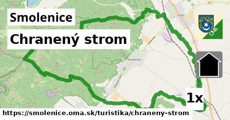 Chranený strom, Smolenice