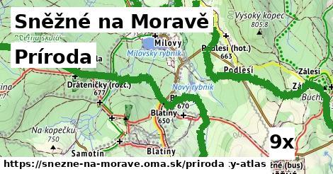 príroda v Sněžné na Moravě