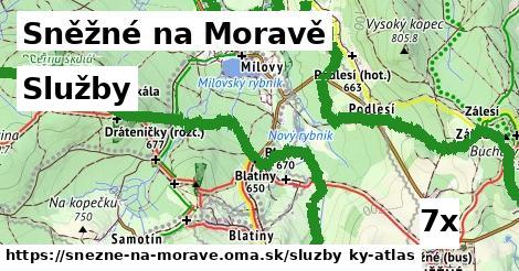 služby v Sněžné na Moravě