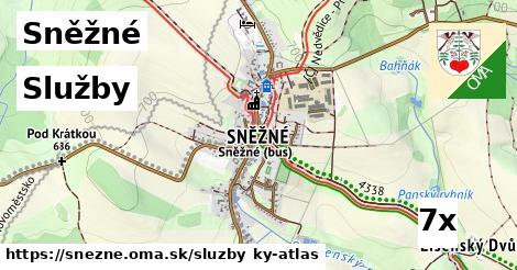 služby v Sněžné