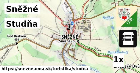 Studňa, Sněžné