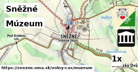 Múzeum, Sněžné