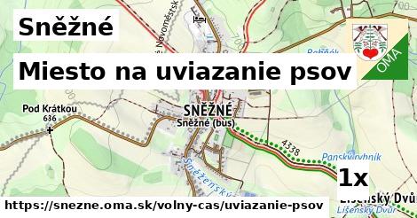 Miesto na uviazanie psov, Sněžné