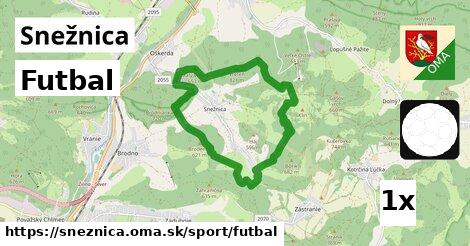 Futbal, Snežnica