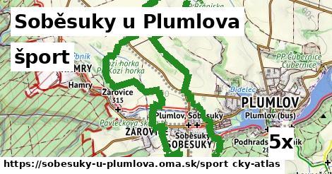 šport v Soběsuky u Plumlova